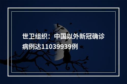 世卫组织：中国以外新冠确诊病例达11039939例