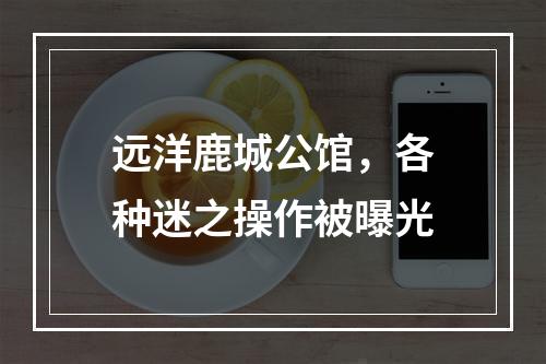 远洋鹿城公馆，各种迷之操作被曝光