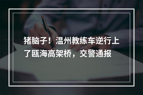 猪脑子！温州教练车逆行上了瓯海高架桥，交警通报