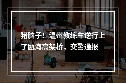 猪脑子！温州教练车逆行上了瓯海高架桥，交警通报