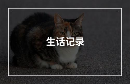 生话记录