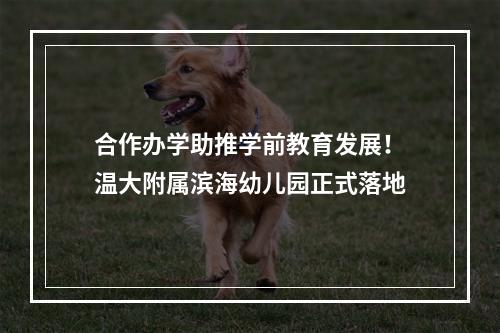 合作办学助推学前教育发展！温大附属滨海幼儿园正式落地