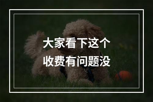 大家看下这个收费有问题没