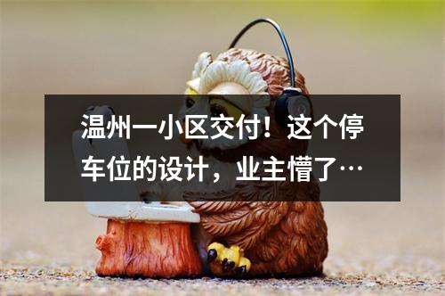 温州一小区交付！这个停车位的设计，业主懵了…