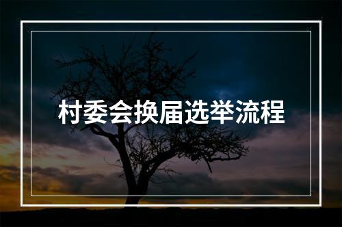 村委会换届选举流程