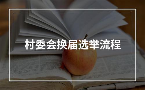 村委会换届选举流程