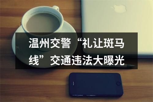 温州交警“礼让斑马线”交通违法大曝光
