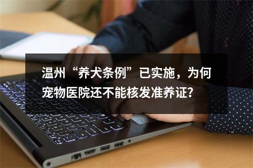 温州“养犬条例”已实施，为何宠物医院还不能核发准养证？