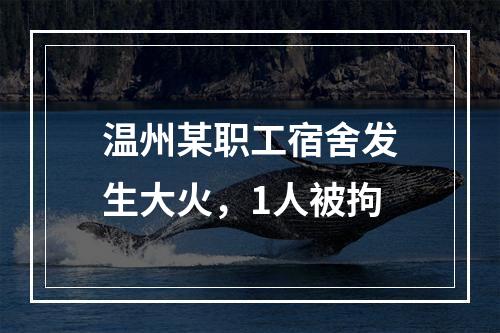 温州某职工宿舍发生大火，1人被拘