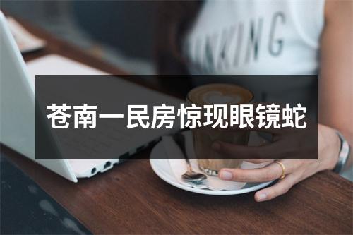 苍南一民房惊现眼镜蛇