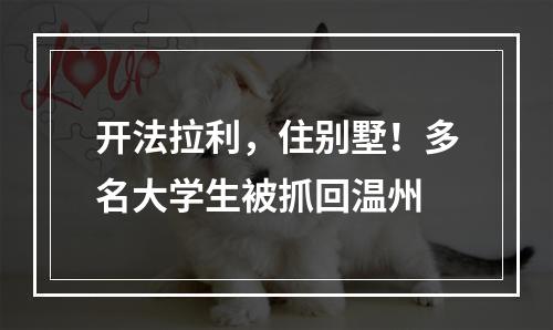 开法拉利，住别墅！多名大学生被抓回温州