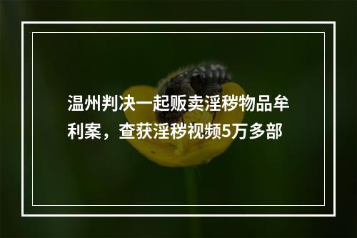 温州判决一起贩卖淫秽物品牟利案，查获淫秽视频5万多部
