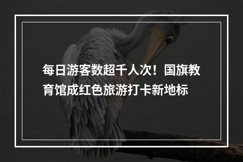 每日游客数超千人次！国旗教育馆成红色旅游打卡新地标