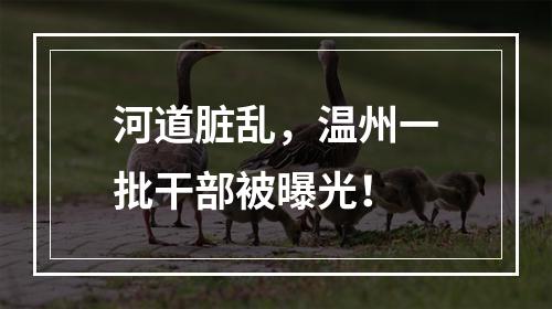 河道脏乱，温州一批干部被曝光！