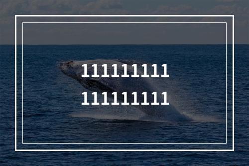 111111111111111111