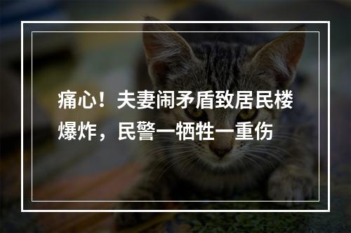 痛心！夫妻闹矛盾致居民楼爆炸，民警一牺牲一重伤