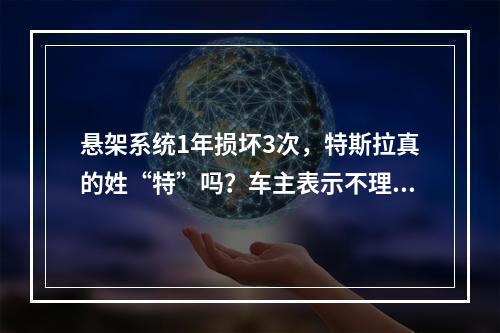 悬架系统1年损坏3次，特斯拉真的姓“特”吗？车主表示不理解...