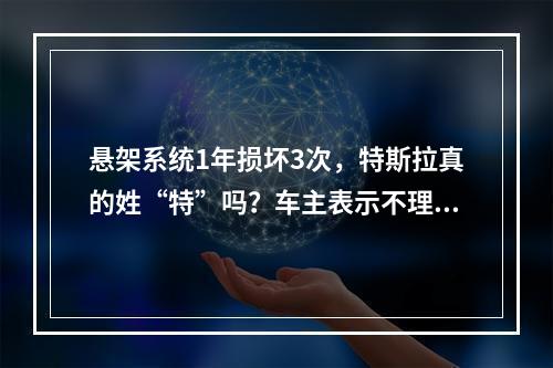 悬架系统1年损坏3次，特斯拉真的姓“特”吗？车主表示不理解...