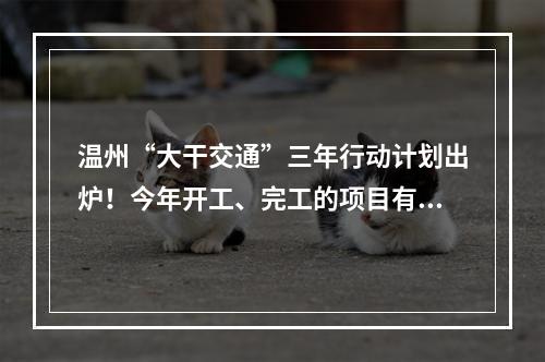 温州“大干交通”三年行动计划出炉！今年开工、完工的项目有这些……