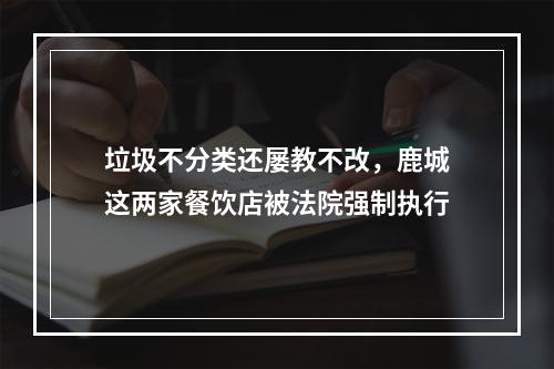 垃圾不分类还屡教不改，鹿城这两家餐饮店被法院强制执行