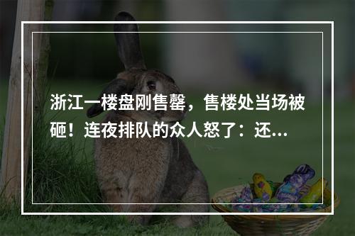 浙江一楼盘刚售罄，售楼处当场被砸！连夜排队的众人怒了：还有这种操作？！