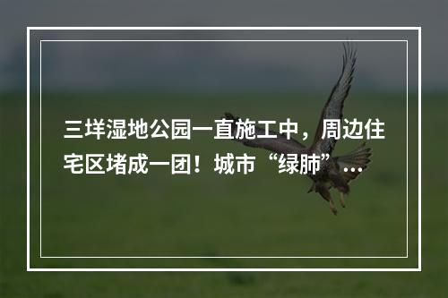 三垟湿地公园一直施工中，周边住宅区堵成一团！城市“绿肺”为何不够宜居？