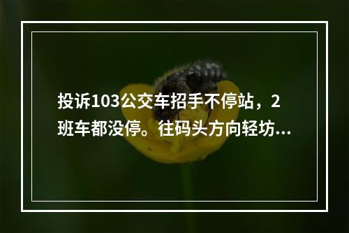 投诉103公交车招手不停站，2班车都没停。往码头方向轻坊路站牌