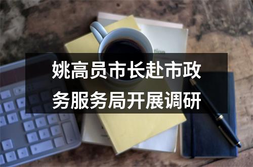 姚高员市长赴市政务服务局开展调研