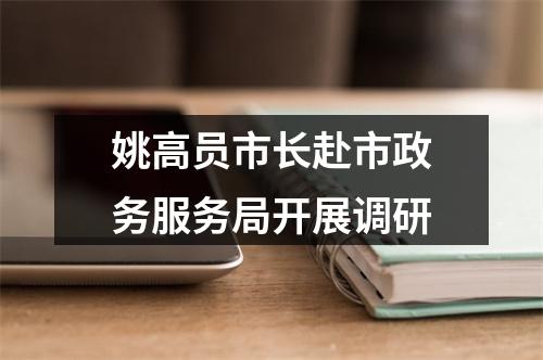 姚高员市长赴市政务服务局开展调研