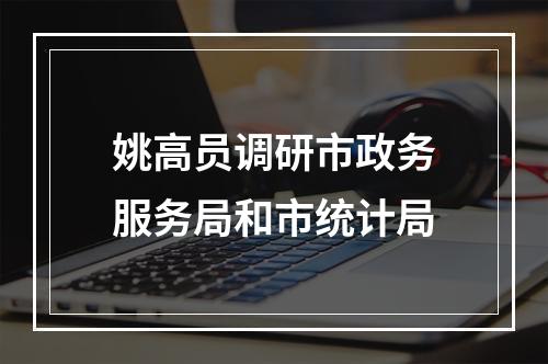 姚高员调研市政务服务局和市统计局