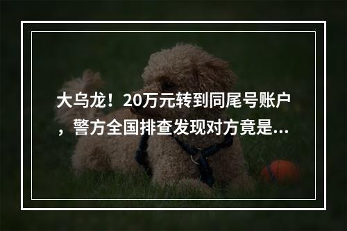 大乌龙！20万元转到同尾号账户，警方全国排查发现对方竟是……