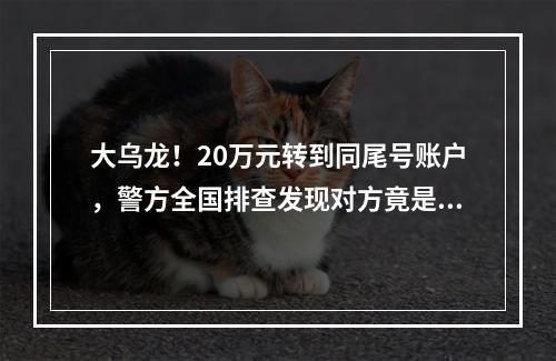 大乌龙！20万元转到同尾号账户，警方全国排查发现对方竟是……