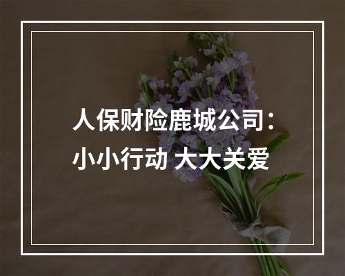人保财险鹿城公司：小小行动 大大关爱