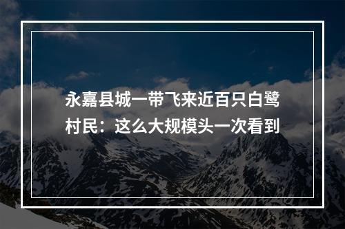 永嘉县城一带飞来近百只白鹭村民：这么大规模头一次看到