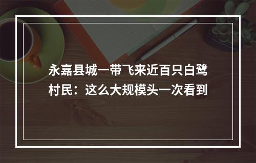 永嘉县城一带飞来近百只白鹭村民：这么大规模头一次看到