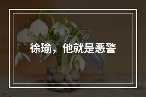 徐瑜，他就是恶警