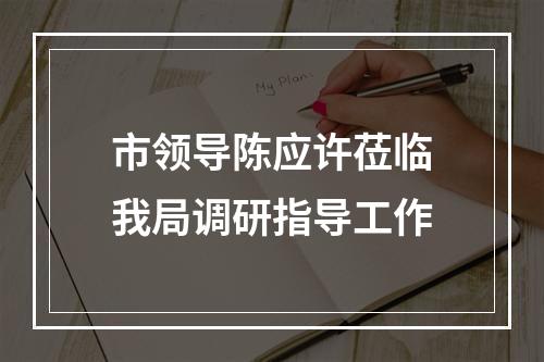 市领导陈应许莅临我局调研指导工作