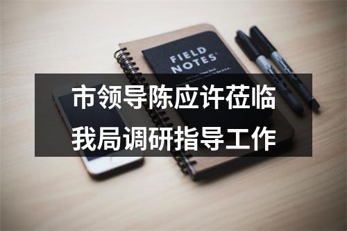 市领导陈应许莅临我局调研指导工作