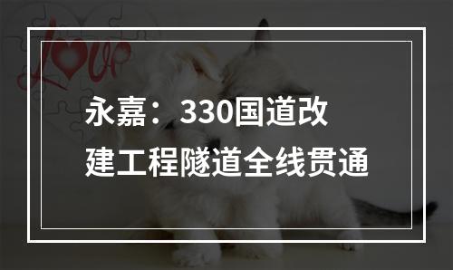 永嘉：330国道改建工程隧道全线贯通