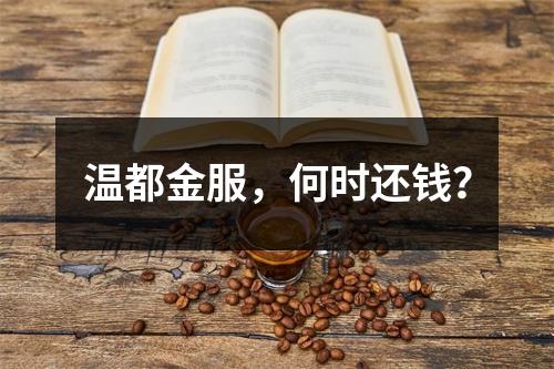 温都金服，何时还钱？
