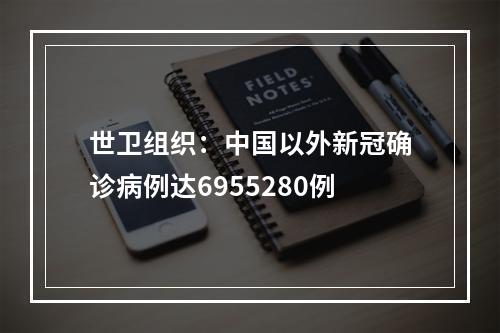 世卫组织：中国以外新冠确诊病例达6955280例