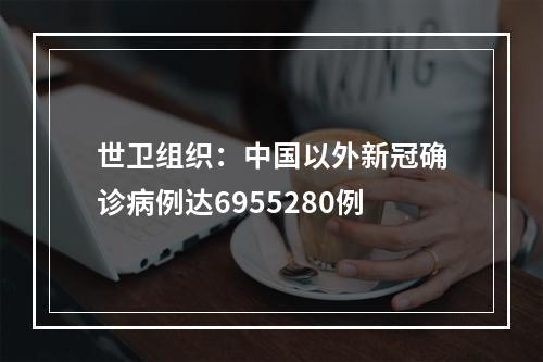 世卫组织：中国以外新冠确诊病例达6955280例