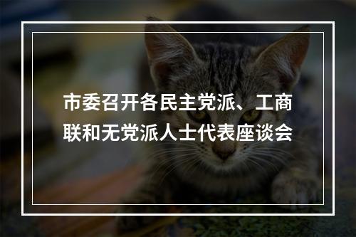 市委召开各民主党派、工商联和无党派人士代表座谈会