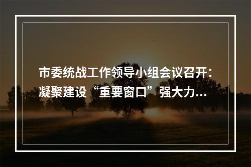 市委统战工作领导小组会议召开：凝聚建设“重要窗口”强大力量