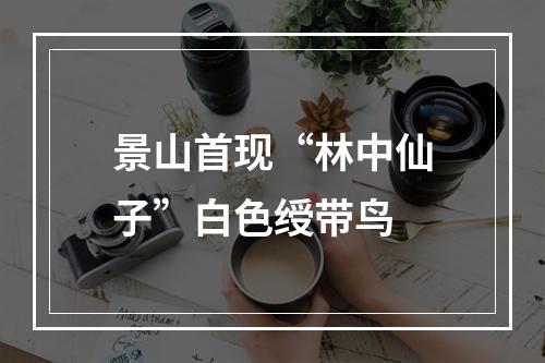 景山首现“林中仙子”白色绶带鸟