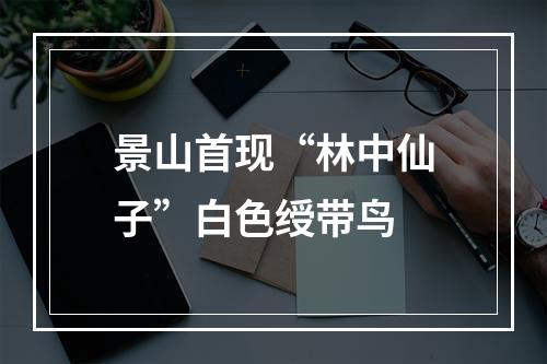 景山首现“林中仙子”白色绶带鸟