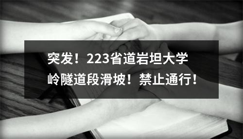 突发！223省道岩坦大学岭隧道段滑坡！禁止通行！