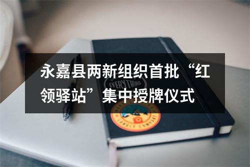 永嘉县两新组织首批“红领驿站”集中授牌仪式
