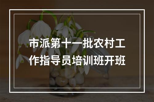市派第十一批农村工作指导员培训班开班