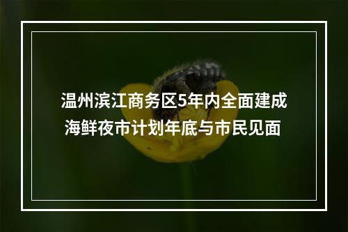 温州滨江商务区5年内全面建成 海鲜夜市计划年底与市民见面